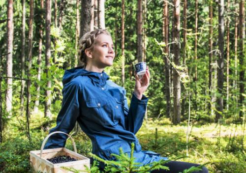 芬兰蓝宝氏: 中国市场对于极地野生浆果需求持续升高