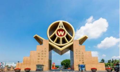 "香"迎消博会,五粮液向世界展示"大国浓香"独特之美