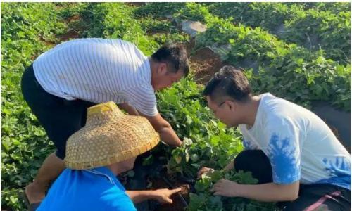 葛泰酩安创始人吴俊松: 永远把消费者的需求放在第一位
