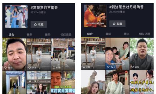 百万热度引爆洛阳!仰韶彩陶坊开启文化节狂欢盛宴