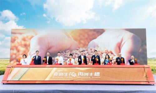 科技智育高质啤麦酒花,百威中国与江苏农垦共创丰穗