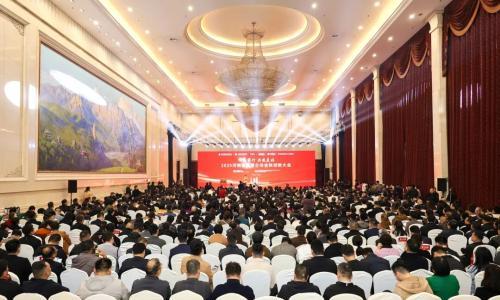 大牌云集,共论创新!仰韶彩陶坊总冠名河南民企盛会问道前行