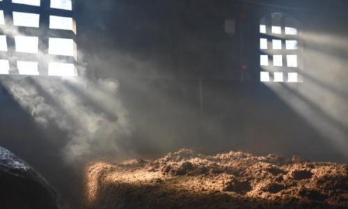 和润之道,全兴之魂: 650余年酒香里的成都风土