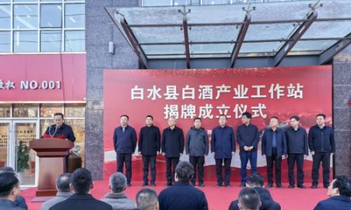 陕西白水杜康: 以工作站赋能产区,共筑白水白酒高质量发展新篇章