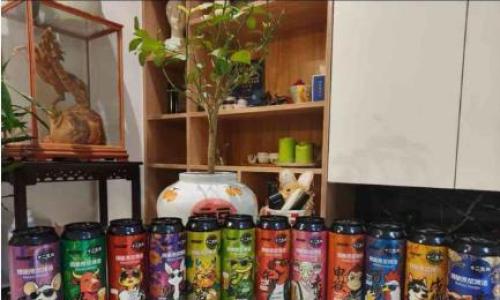终端老板疯抢的爆品: 这款啤酒摆出来,顾客主动问链接