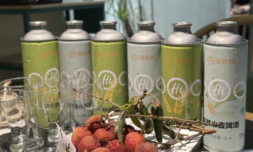 品鉴笔记|海底捞龙井&德式小麦啤酒1L*6罐整箱: 11&deg;P茶啤的风味层次拆解