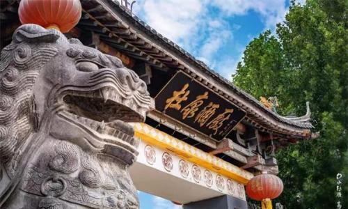 清香时代,白水杜康以长期主义书写高质量答卷