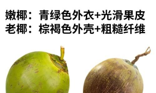 特稿: 30元成本卖9.9元,你的椰子水里有什么?